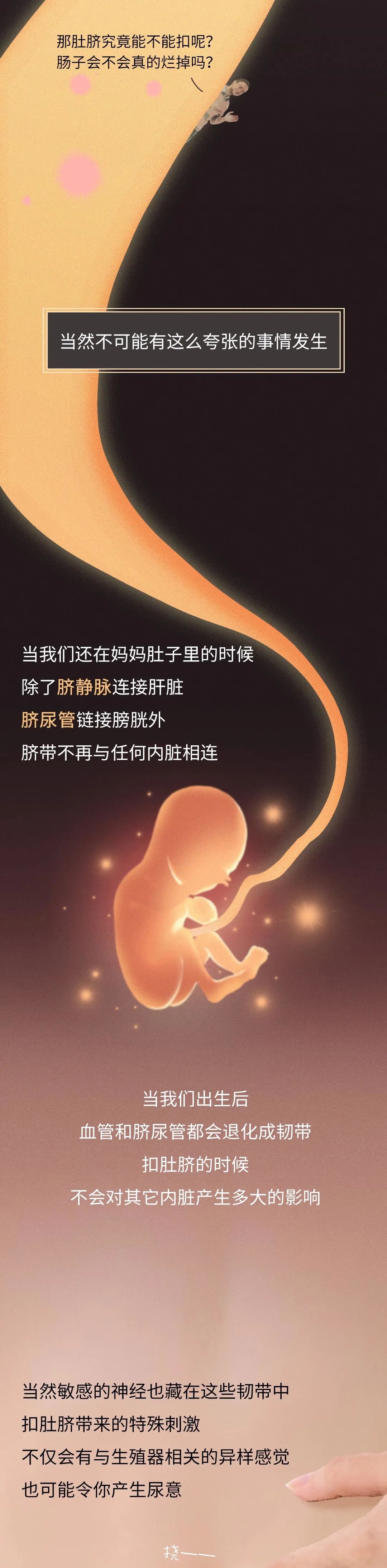 为什么女生露肚脐，会显得性感？（漫画）