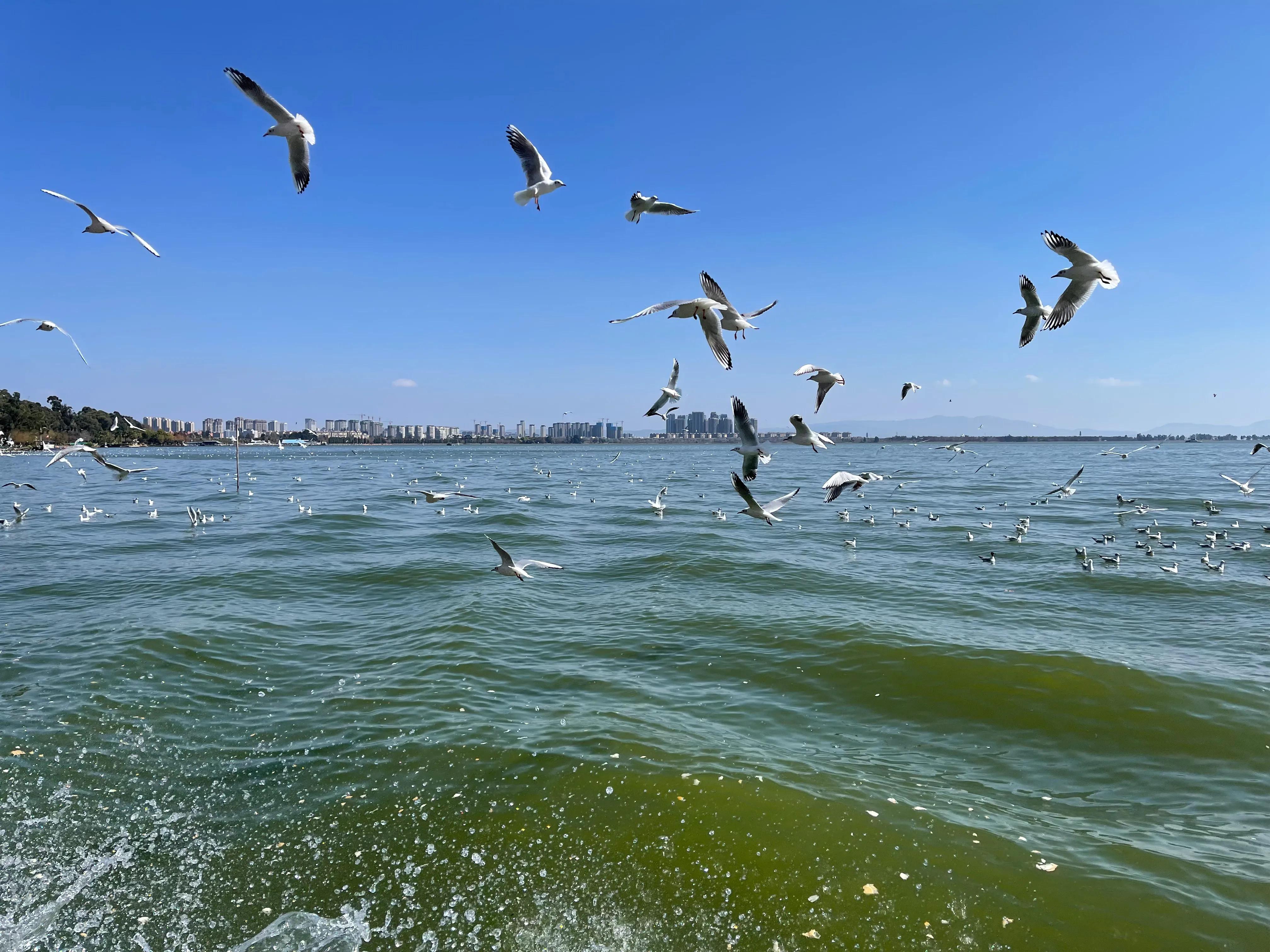 云南省比较适合旅居的城市是哪个,云南昆明气候条件