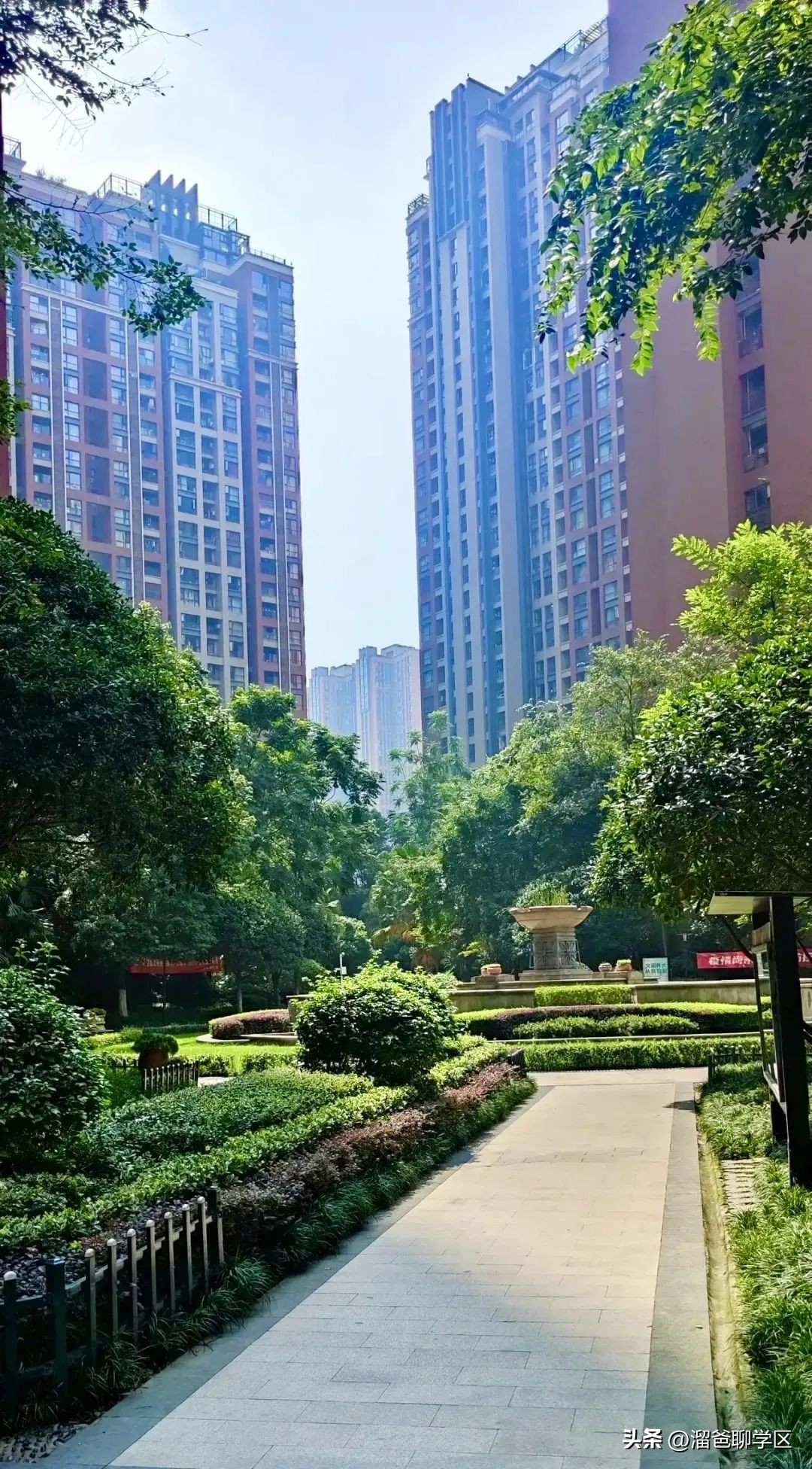 石室教育集团,成都石室中学教育集团学校