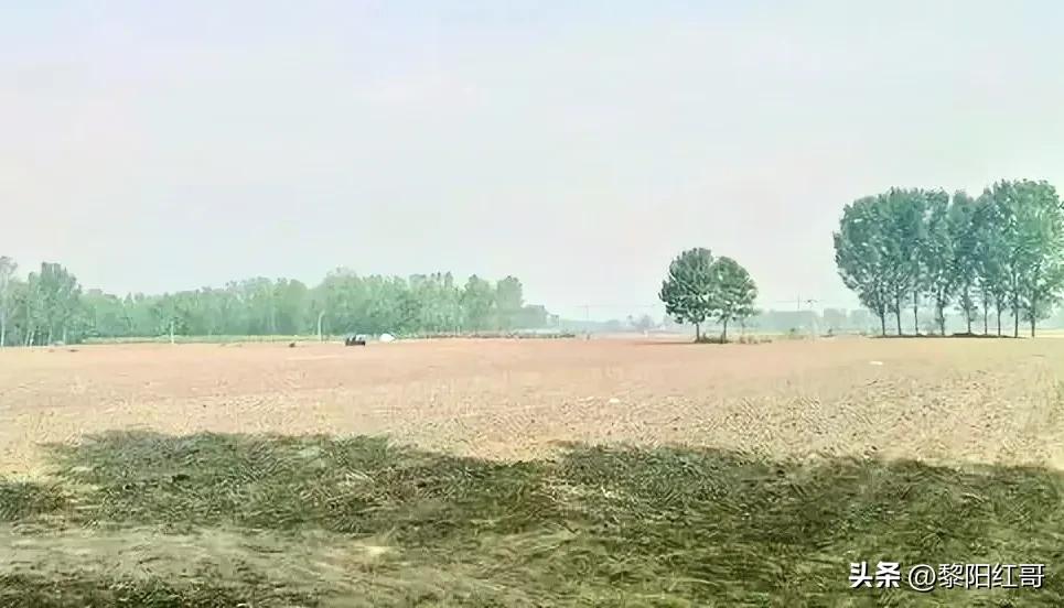 黄河古渡口传说,徐州黄河故道故事