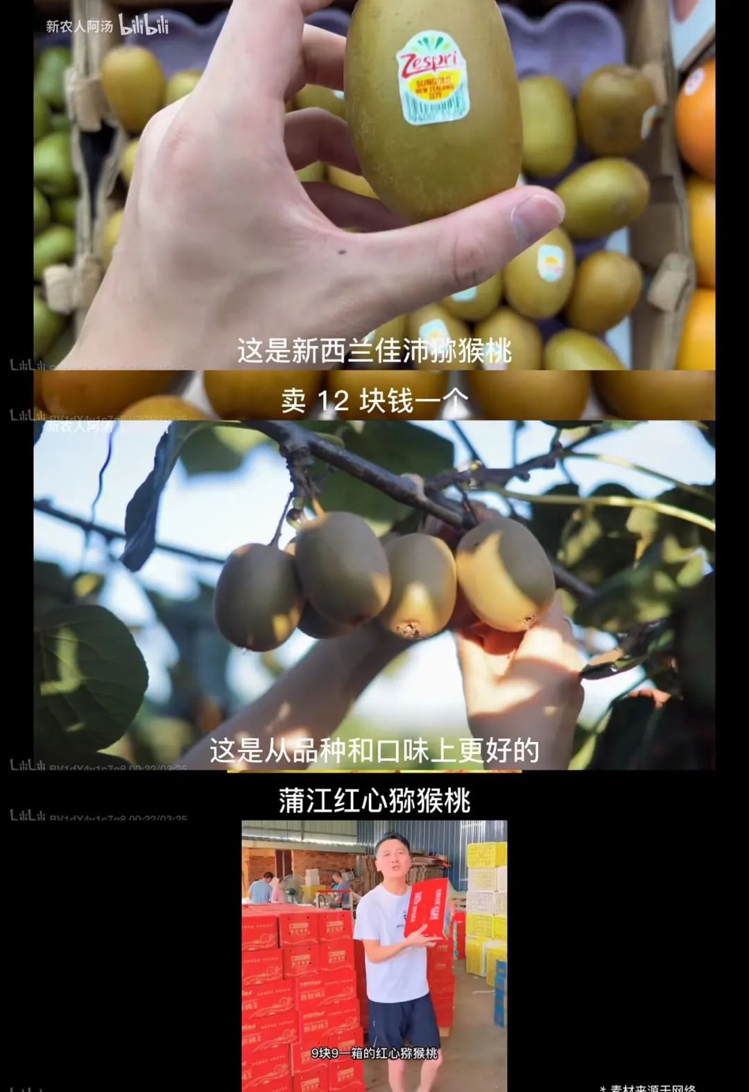 如何利用互联网+打造现代农业,现代化农业种植新模式