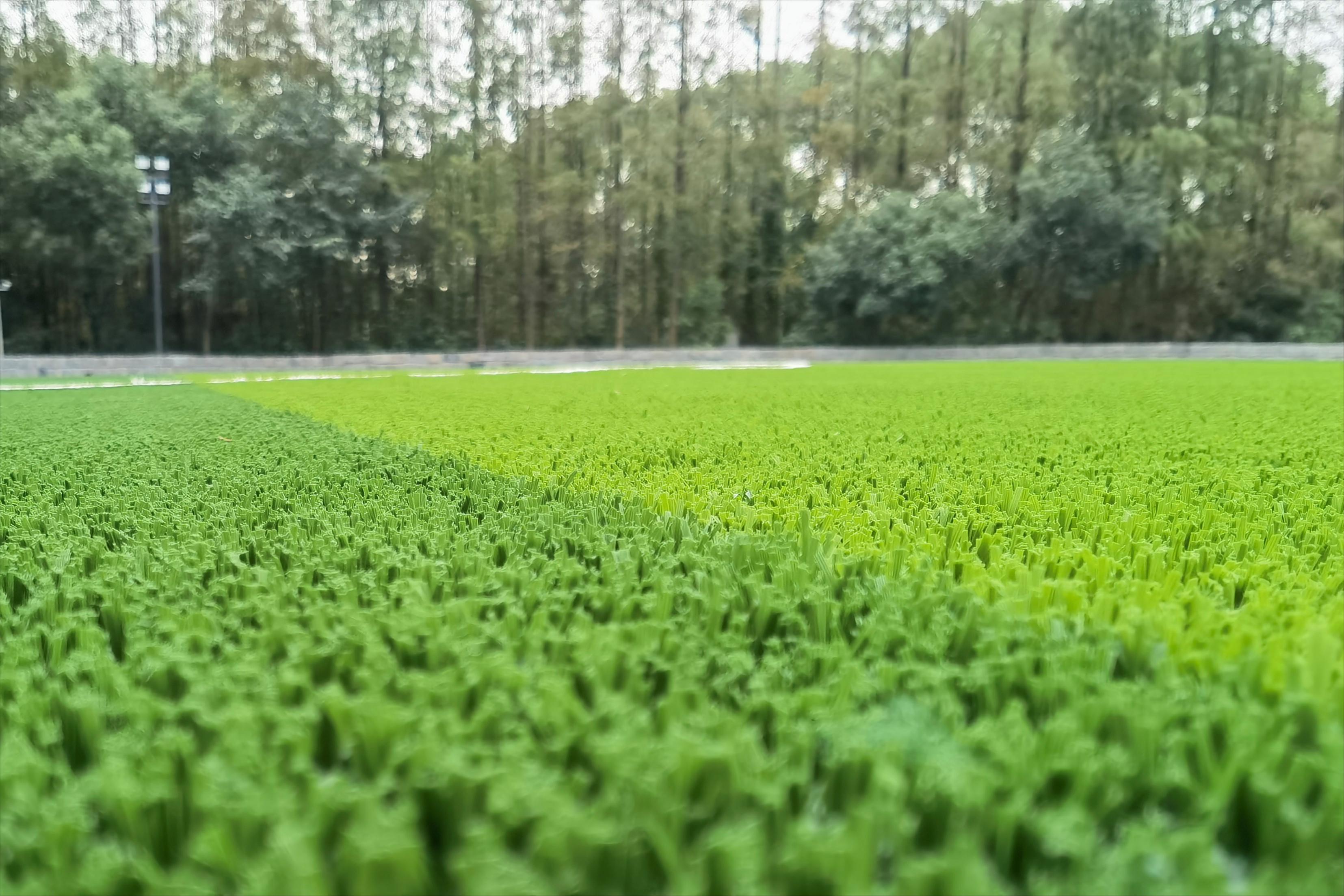 软人造草坪与硬人造草坪的区别,人造仿真草坪垫子户外塑料草坪