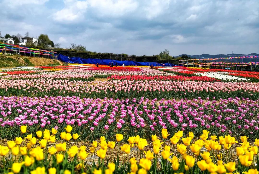 广元旅游景点免票,2020年广元哪些景区免门票