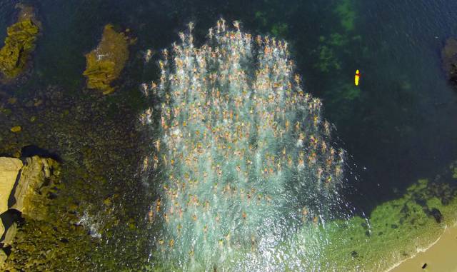 100个难得一见照片，砍伐巨树，运输军舰的巨轮，治疗风湿病的熊