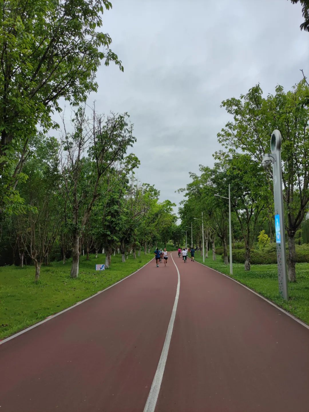 亲测环线,亲测空中自行车