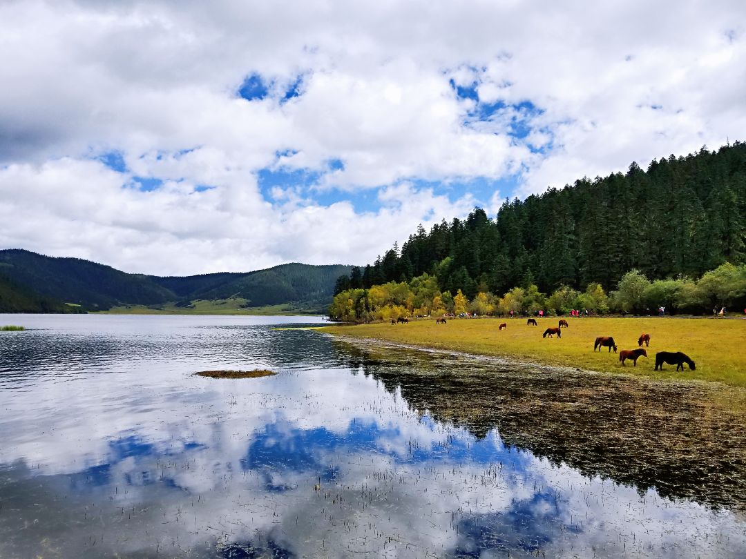 云南自由行旅游攻略三天,云南自由行三天游攻略