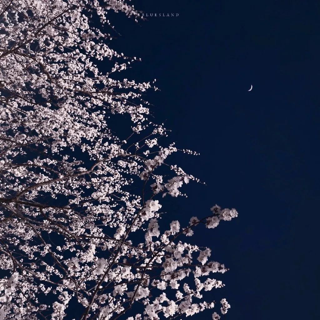 2022提升运气的微信头像意境,田姓氏微信头像图片大全2022