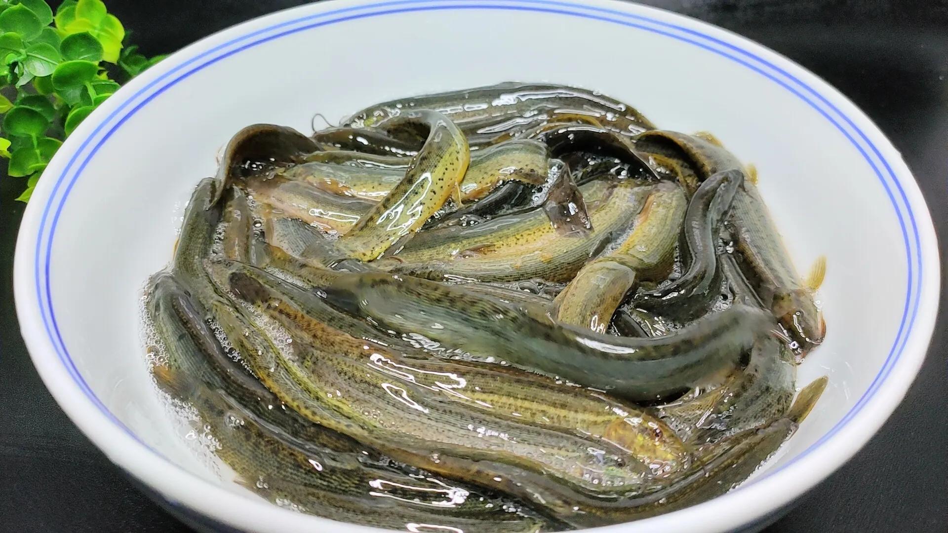 大厨做红烧泥鳅最正宗的做法,教你秘制的泥鳅做法美味下饭