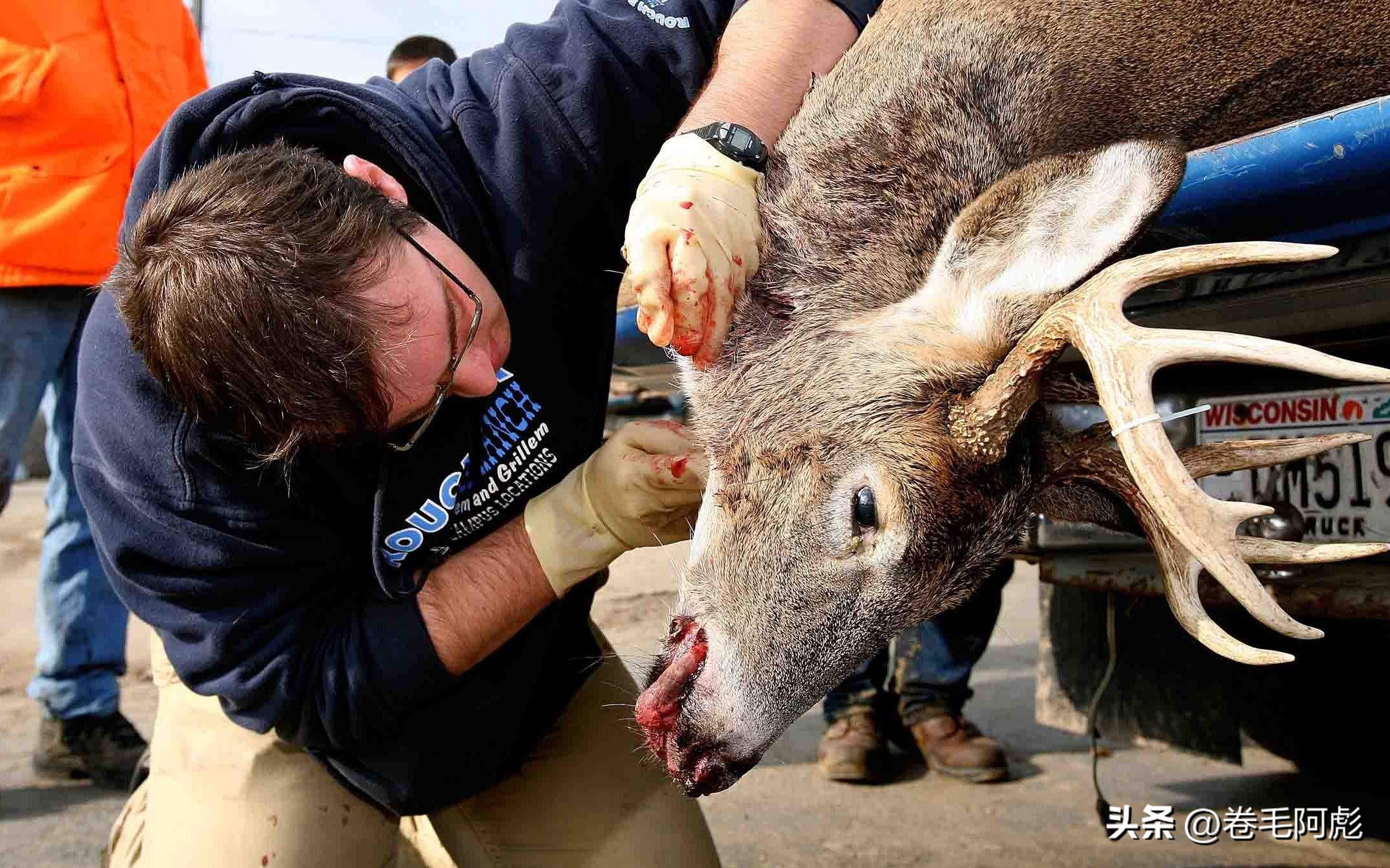 女子被12只蜱虫咬,美国女子被虫子咬