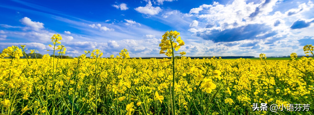 诗经郑风溱洧,诗经郑风溱洧石刻