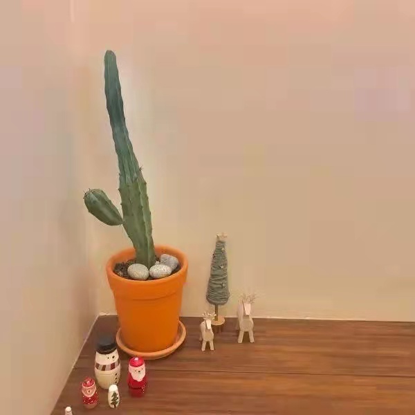 既温柔又高质量的文案,高级且温柔的文案