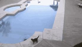 丝袜上可以纹身吗,女生纹身还能穿丝袜吗