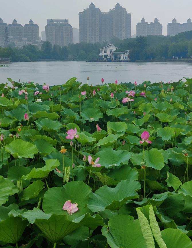 去合肥旅游回来后，说说我对合肥的看法