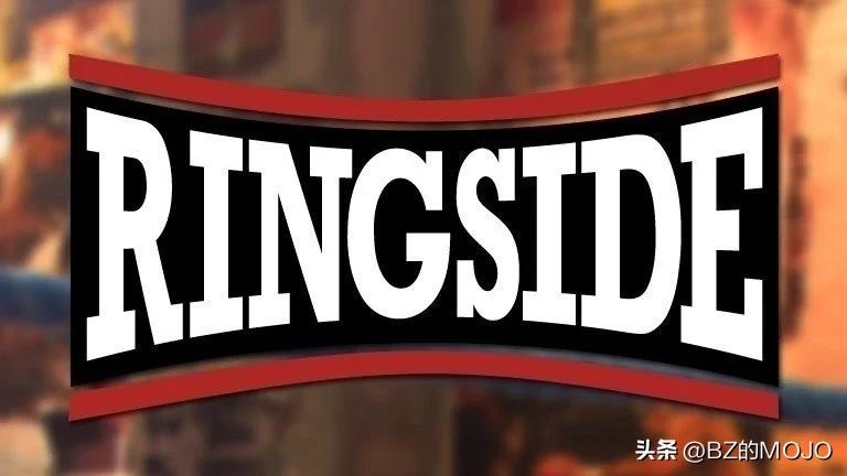 拳击的游戏是什么,拳击是男人的游戏