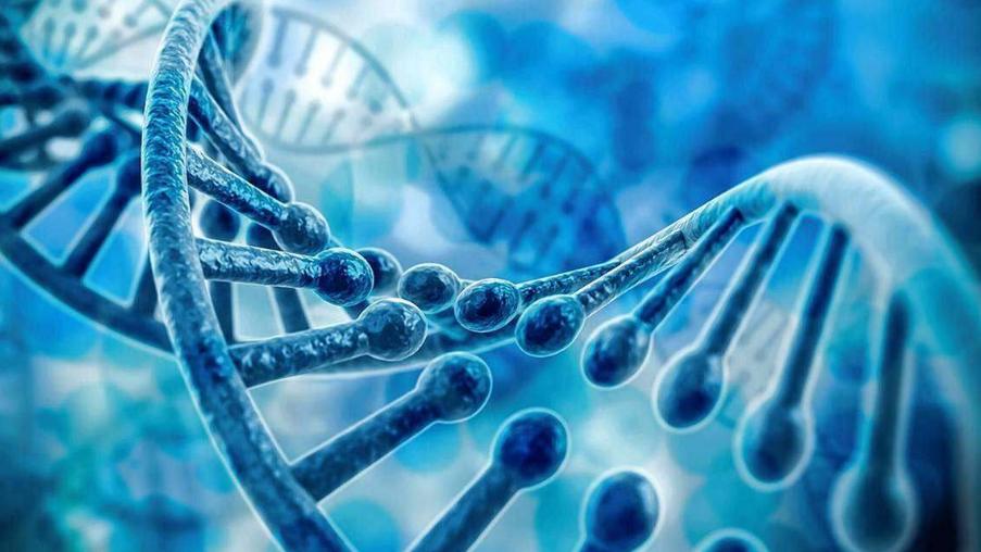 女孩经常绷腿对身体有什么影响,女生经常夹脚尖是好是坏