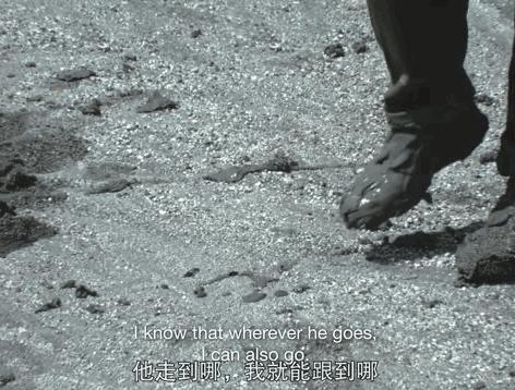 盘点内娱cp18年,内娱哪对cp可能是真的