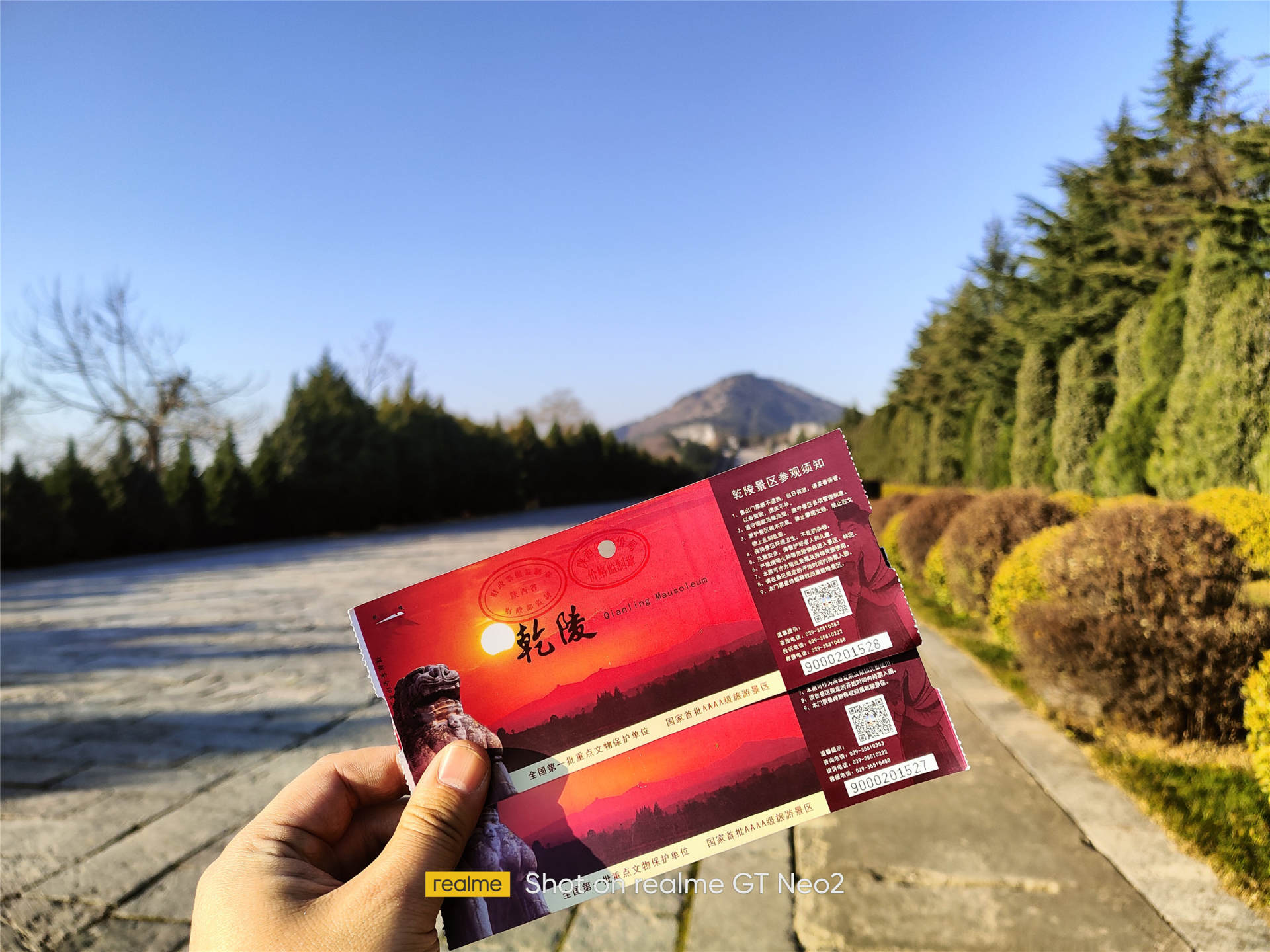 莫里尼x-cape650价格,莫里尼x-cape650座高