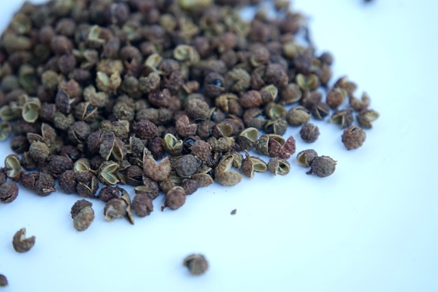 中药功效主治大全一览表,中药里常见功效解释