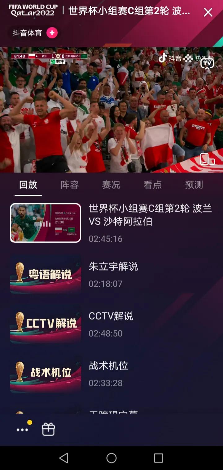 世界杯无障碍直播回放日本,世界杯直播录像回放日本