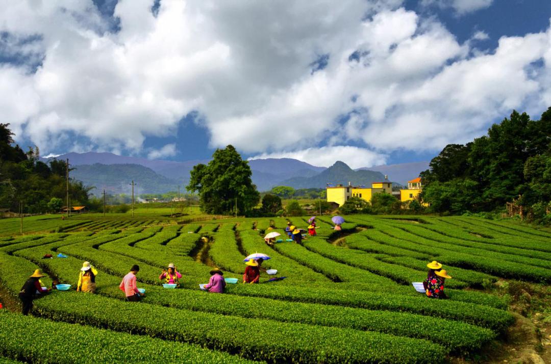 letsgo一周目攻略,letsgo图鉴攻略