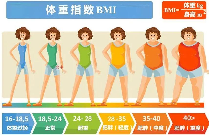 身材达标对照表怎么做,医生眼里最健康的体型