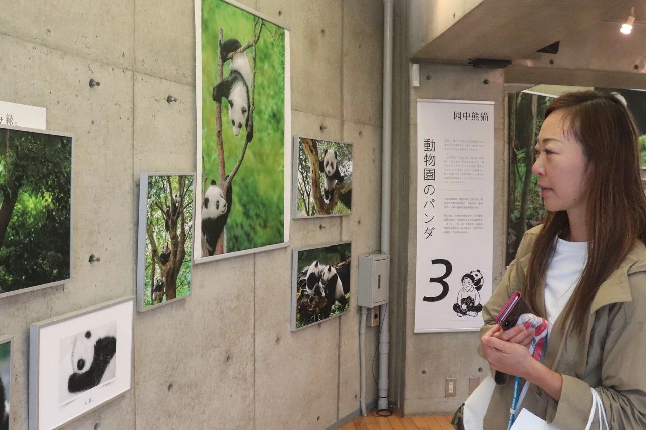 8个小时，他为“香香”按下了2000多次快门