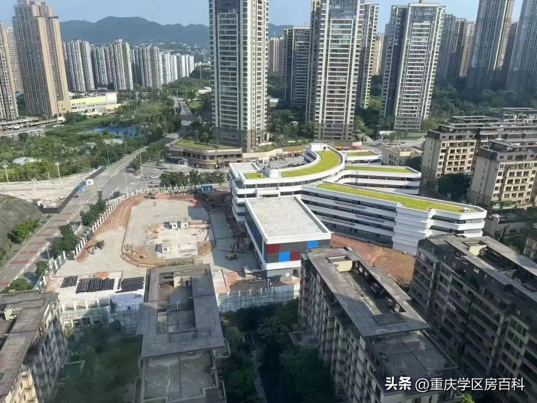 目前哪些学校已经开学了,目前全国开学的学校