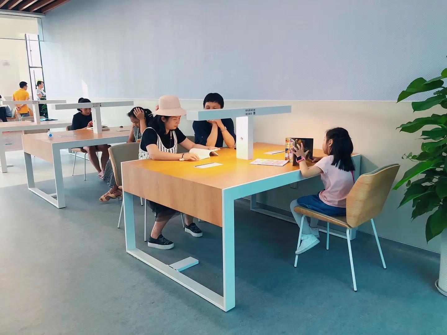 在厦门生活,在厦门生活工作的感受