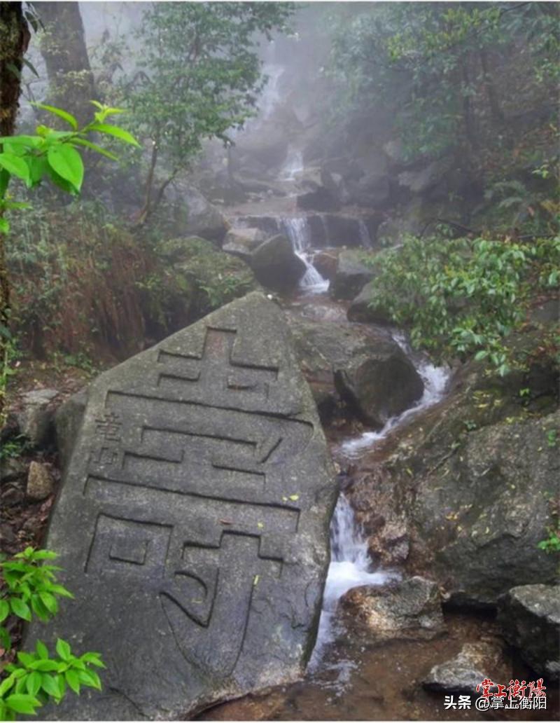 衡山康养,南岳衡山国际中医康养产业园