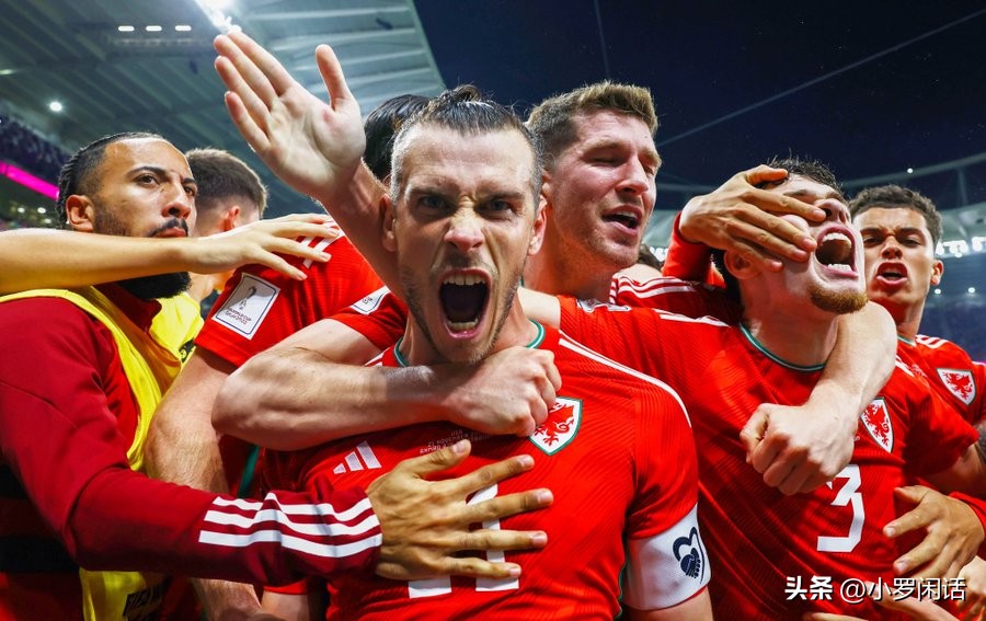 世界杯32支球队全家福,世界杯集锦24