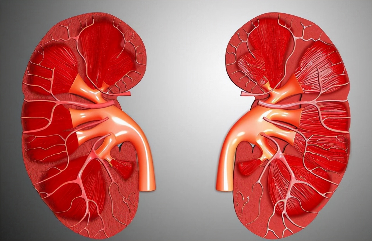 吃哪些食物最伤肾,这些伤肾食物你经常吃吗
