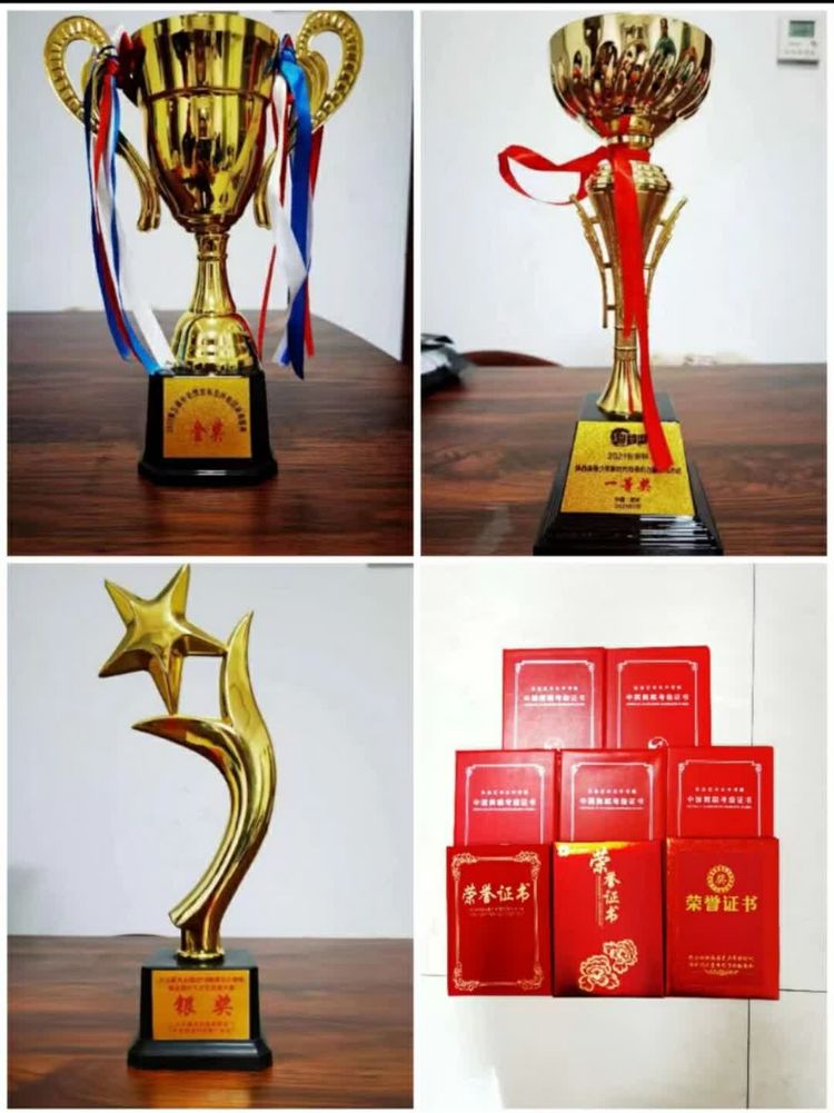 向阳而生,逐梦前行——长里分校“校园好榜样,灿烂好少年”