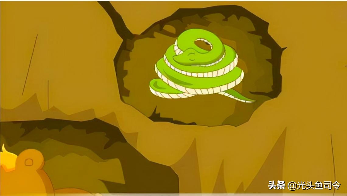 缅甸蟒长大后的天敌除了人有哪些,缅甸蟒喜欢什么样栖息环境