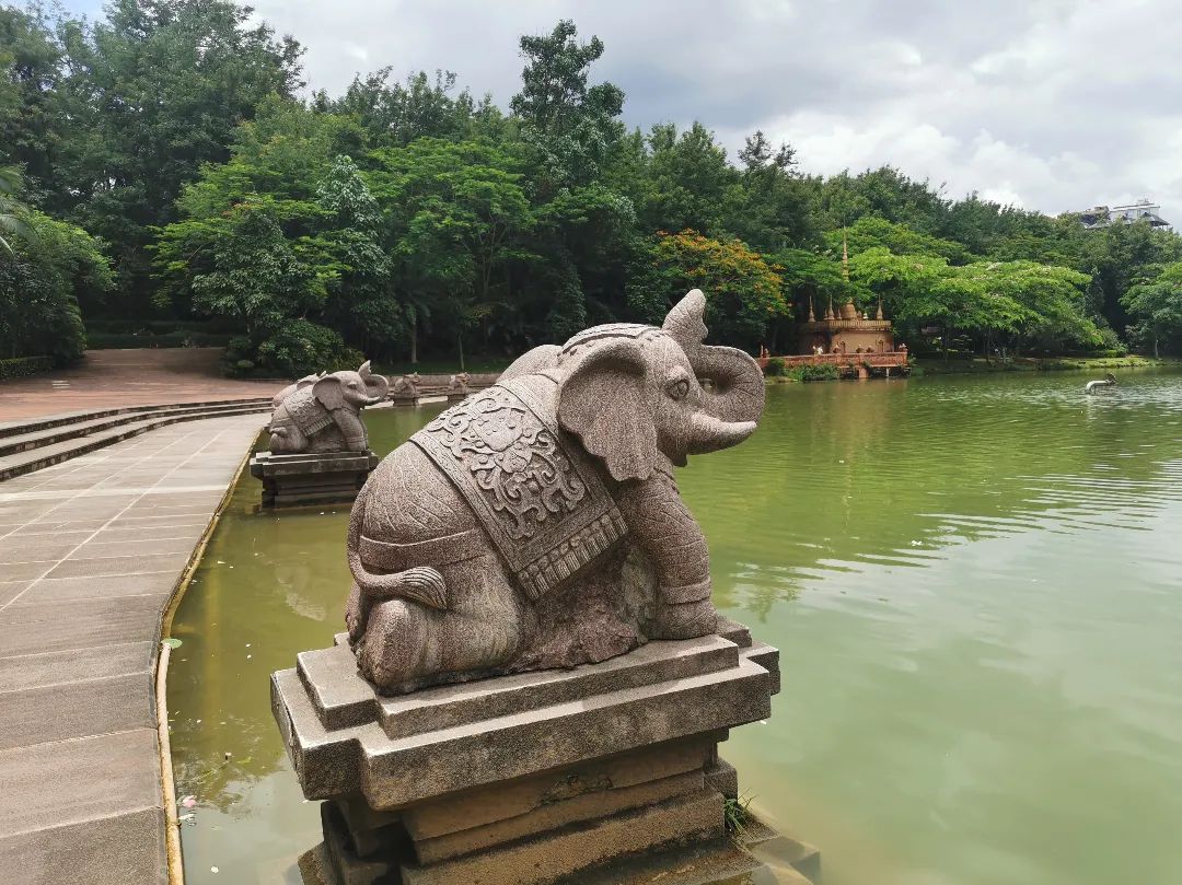 西双版纳七天六夜攻略,西双版纳五天六夜之旅完美结束