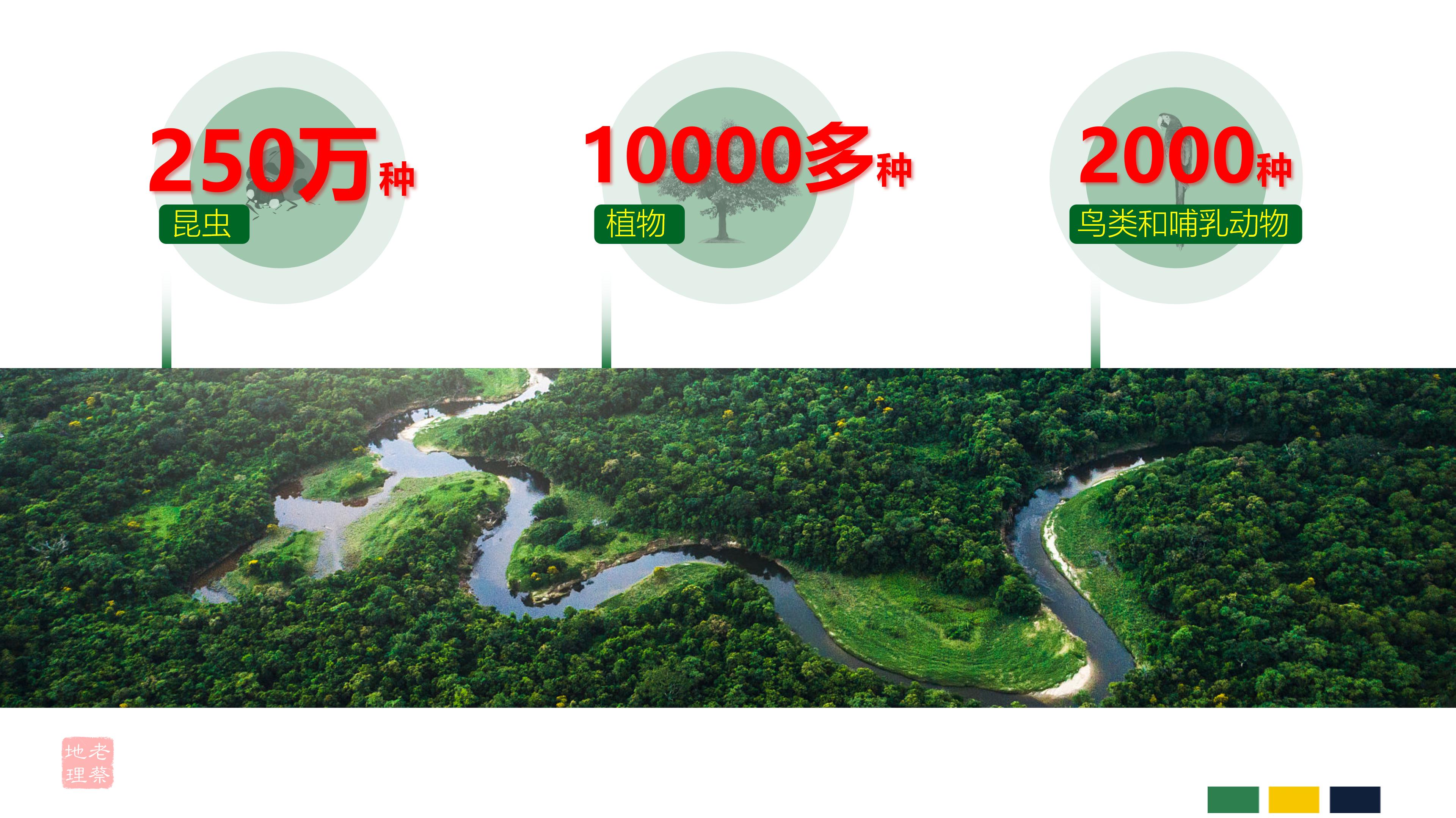 七年级下册地理第九章第二节巴西,七年级下册地理巴西2