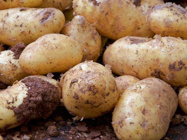 土豆和牛肉一起怎么炖才好吃呢,土豆炖一下然后和什么搭配好吃