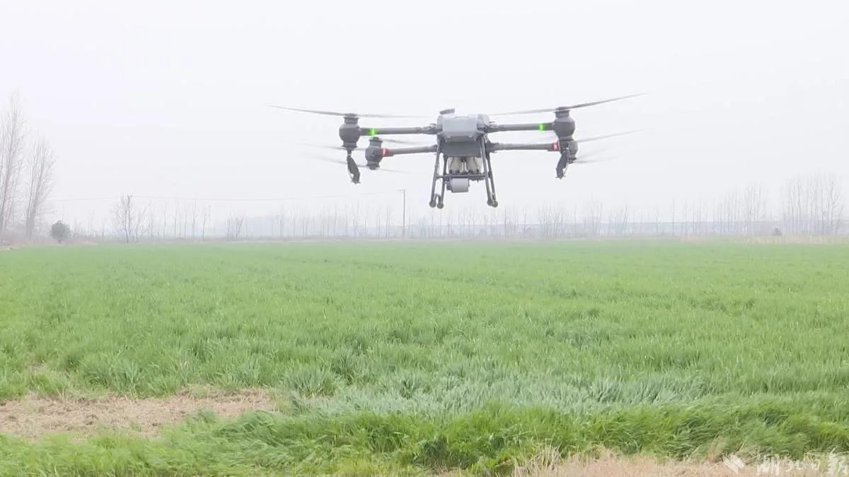 汉川中洲农场最新消息,汉川中洲农场最新视频