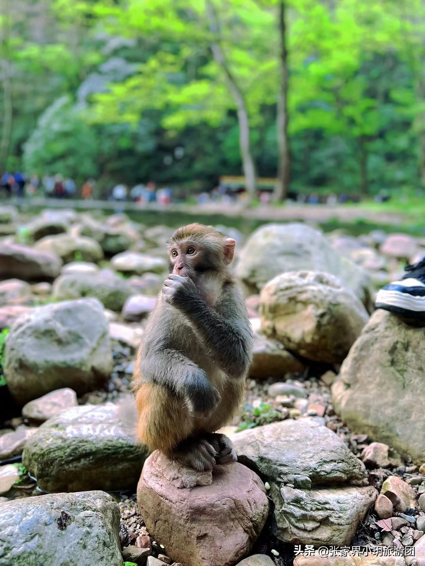 湘西凤凰古城旅游攻略,张家界到凤凰古城旅游攻略