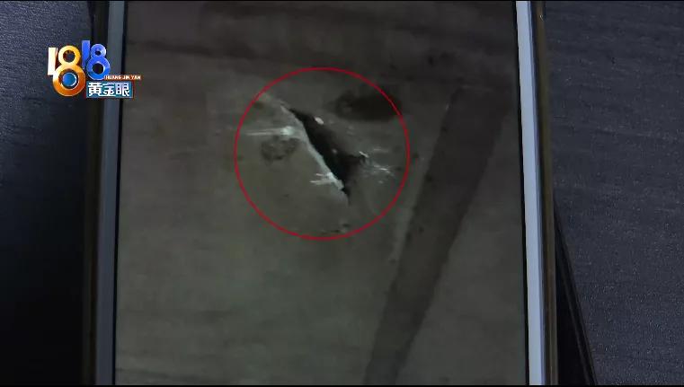 还车发现车被撞了,新能源汽车电池包磕破了能修吗