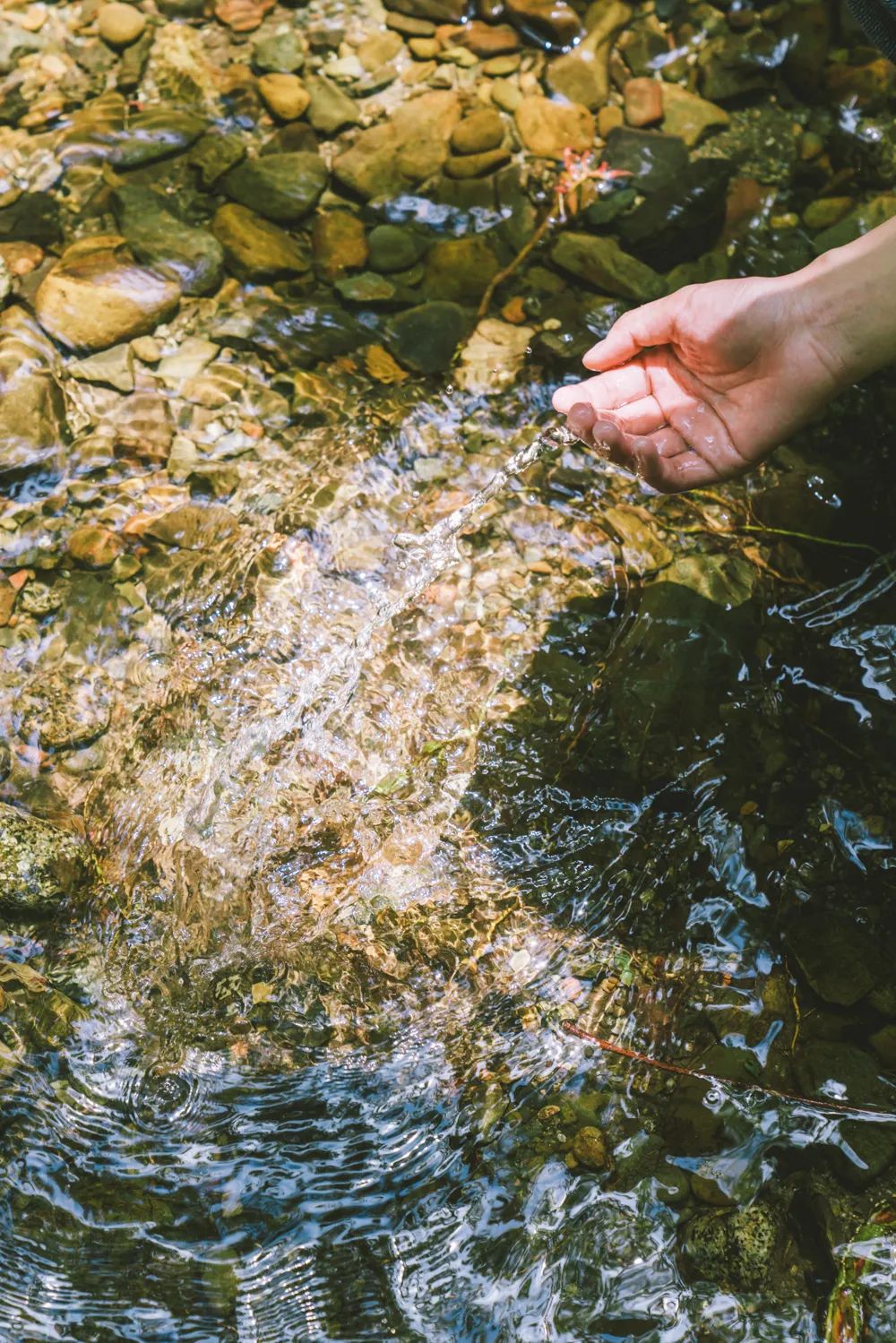 长沙夏日周末旅游景点攻略,长沙夏日游玩攻略一日游推荐