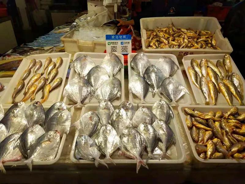 浙江最快的高铁,浙江第一条高铁开通时间