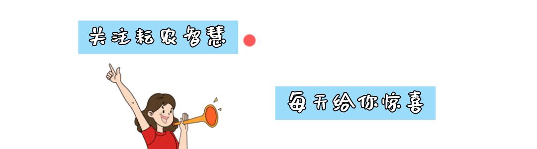 农田土壤智能监测系统,耘农智慧农业