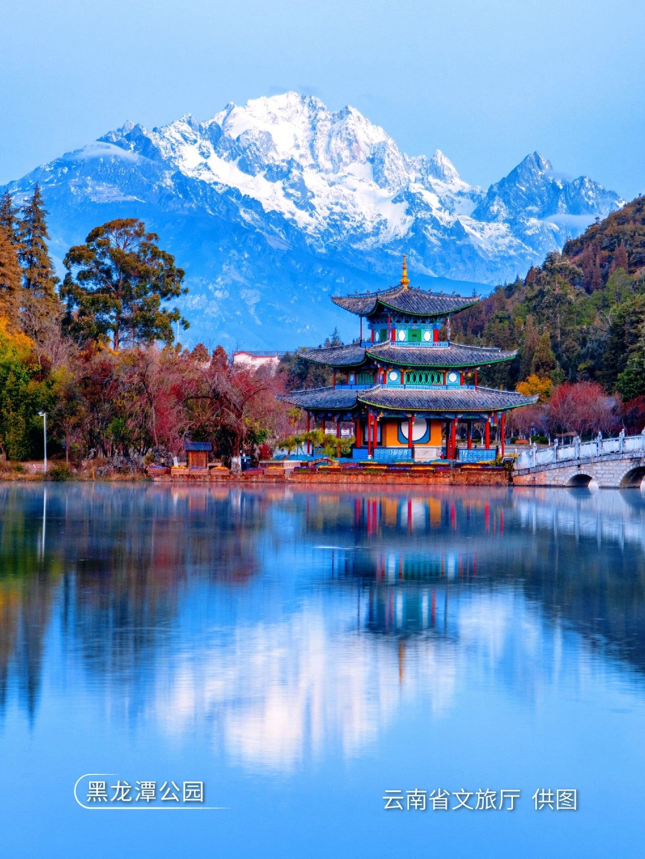 云南世界花园视频,云南世界花园