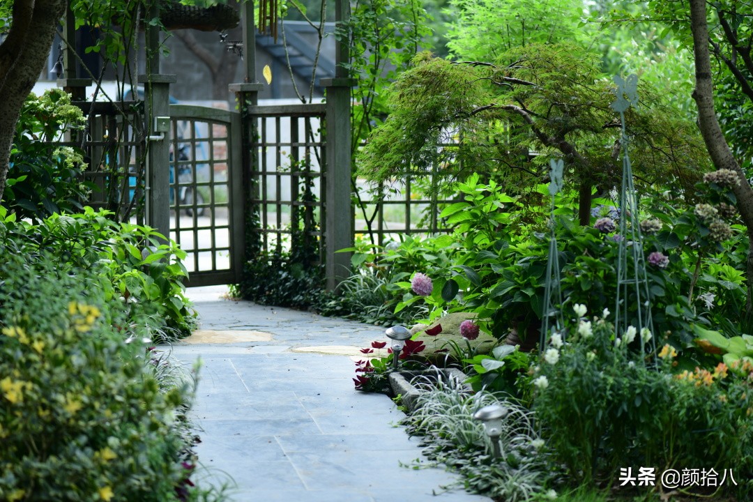 看到你的花园那么惨，我就安心了|园丁