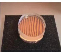 为什么不能透过门缝偷看,为什么不能透过窗户看见里面