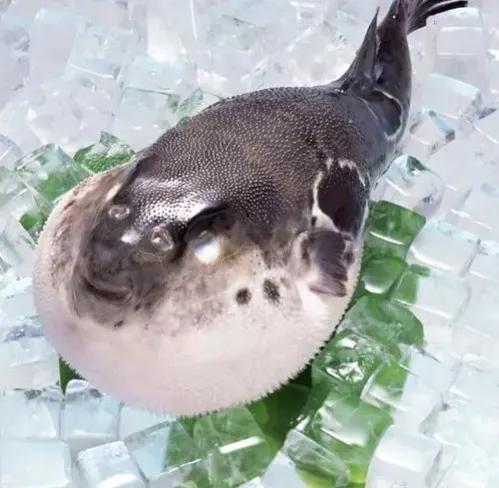 吃海鲜后心脏跳得快,吃完海鲜心脏跳得很快