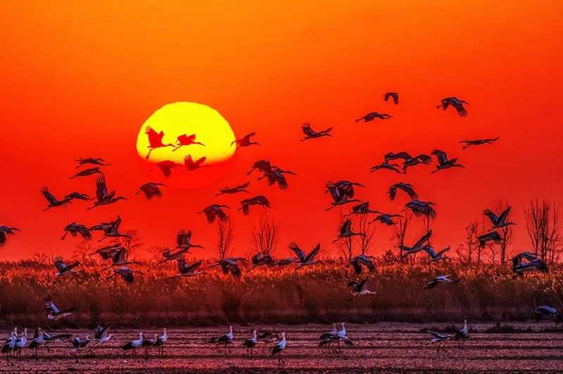 唐山革命建设历程,唐山革命老区视频