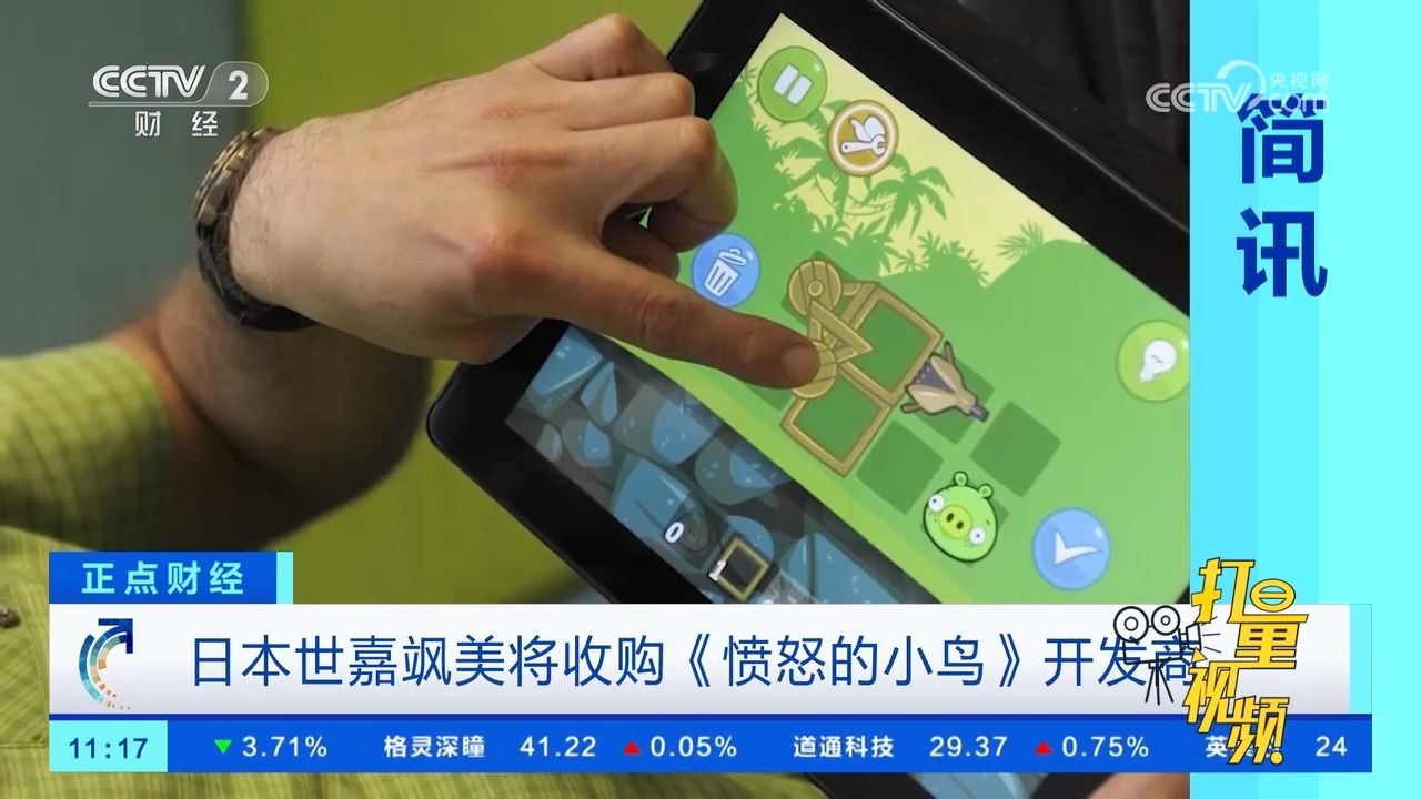 54亿，买过气网红！神操作就为砸个“鸟”