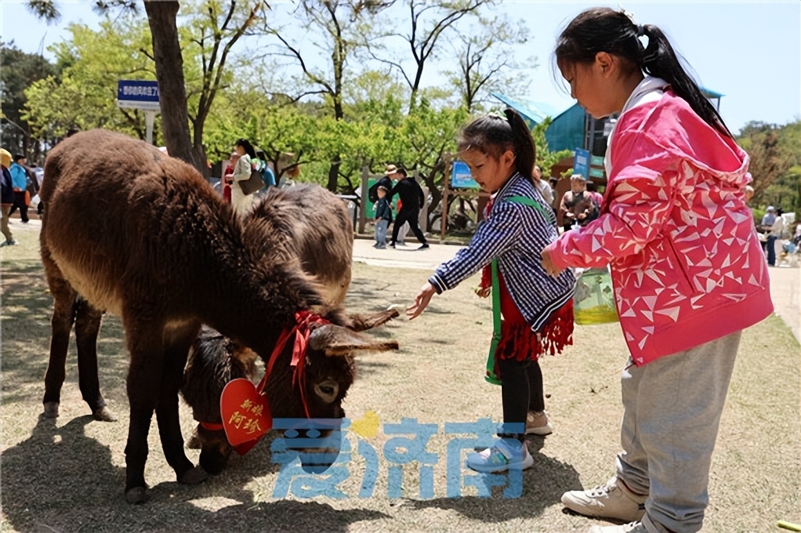 沉浸式畅游跑马岭亲子同乐欢度假日