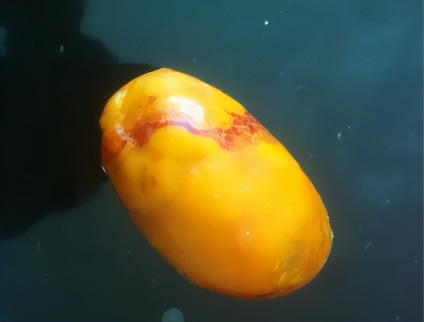 文胸、高尔夫、炮弹、珍珠、*物文**，盘点这些从动物肚里发现的东西